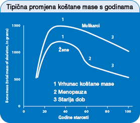 Povezanost mineralizacije i godina